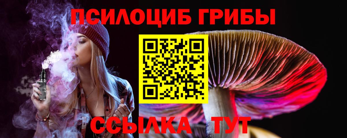 Ишимбай  Псилоцибиновые грибы GOLDEN TEACHER  Галлюциногенные грибы Psilocybe  Вход с VPN 